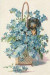 Sketch Journal: Dachshund Puppy and Flowers (Blue) 6x9 - Pages are LINED ON THE BOTTOM THIRD with blank space on top