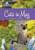 Cats in May