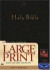 Large Print Bible-Nlt