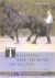 Training the Horse in Hand: The Classical Iberian Principle