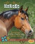 All About Horses: Everything A Horse-Crazy Girl Needs to Know (Crazy About Horses)