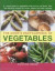 The Cook's Encyclopedia of Vegetables: A Visual Guide To Vegetables And How To Use Them, With 100 Delicious Recipes For Soups, Salads And Main Courses