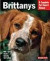 Brittanys (Complete Pet Owner's Manual)