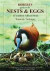 Roberts Guide to the Nests and Eggs of Southern African Birds (Roberts Guides)