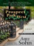 Prospect Park West (Thorndike Press Large Print Core Series)