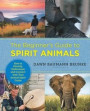 Beginner's Guide to Spirit Animals