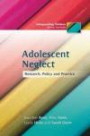 Adolescent Neglect: Research, Policy and Practice (Safeguarding Children Across Services)