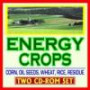 21st Century Guide to Energy Crops and Biofuels, Agricultural Residue, Corn and Wheat Stover, Rice Straw, Oil Seeds, Switchgrass, Feedstocks, Sugars, Biorefineries, Ethanol, Syngas (Two CD-ROM Set)