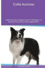 Collie Activities Collie Tricks, Games & Agility. Includes: Collie Beginner to Advanced Tricks, Series of Games, Agility and More