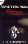 Private Emotions - Promises: An Erotic Romance Novel in the Private Emotions Trilogy. A love story between Emily and Ethan. (Volume 3)