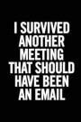 I Survived Another Meeting that Should Have Been an Email: 6x9 Lined 100 pages Funny Notebook, Ruled Unique Diary, Sarcastic Humor Journal, Gag Gift f