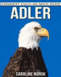 Adler: Ein Kinderbuch mit erstaunlichen Fotos und interessanten Fakten über Adler
