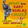 What Are Baby Koalas Called?: A Book About Baby Animals (First Facts)