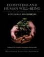 Ecosystems and Human Well-Being: Multiscale Assessments : Findings of the Sub-Global Assessments Working Group (Millennium Ecosystem Assessment Series)