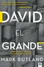 David El Grande: Análisis del Único Hombre Que Era Segun El Corazón de Dios