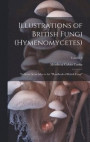 Illustrations of British Fungi (Hymenomycetes)