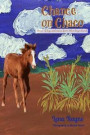 Chance on Chaco: A collection of stories of hope and rescue, featuring the horses of Silver Rayne Ranch