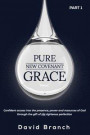 Pure New Covenant Grace: Confident access into the presence, power and resources of God through the gift of His righteous perfection