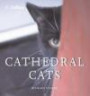 Cathedral Cat