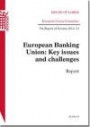 European Banking Union: Key Issues and Challenges Report 7th Report of Session 2012-13: House of Lords Paper 88 Session 2012-13 (House of Lords Papers)