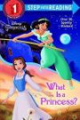 What is a Princess? (Disney Princess Step Into Reading, Step 1)
