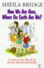 Now We Are Here, Where on Earth Are We?: A Year in the Life of an Almost Functional Family
