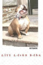 LIVE LAUGH BARK Notebook: Bulldog Lined Writing book, featuring JAXSONthebulldog. Including funny and inspirational quote. For School, the Offic