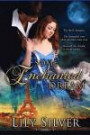 Some Enchanted Dream: A Time Travel Adventure Romance (Seasons of Enchantment) (Volume 2)
