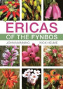 Ericas of the Fynbos