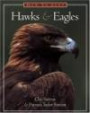 How to Spot Hawks and Eagles (The How to Spot Series)