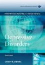 Depressive Disorders, WPA Series Evidence and Experience in Psychiatry (WPA Series in Evidence & Experience in Psychiatry)