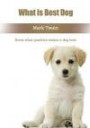 What is Best Dog: Know what qualities makes a dog best
