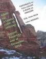 Adelif Inc. A FAMILY CORP. IN ARIZONA Annual Report to end of December 2018: Available Paperback or Full-color Ebook at Amazon