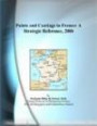 Paints and Coatings in France: A Strategic Reference, 2006
