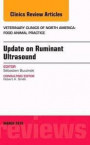 Update on Ruminant Ultrasound, An Issue of Veterinary Clinics of North America: Food Animal Practice, 1e (The Clinics: Veterinary Medicine)