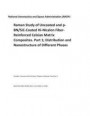 Raman Study of Uncoated and P-Bn/Sic-Coated Hi-Nicalon Fiber-Reinforced Celsian Matrix Composites. Part 1; Distribution and Nanostructure of Different