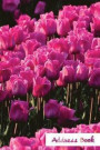 Address Book.: (Flower Edition Vol. E93) Pink Tulip Cover Design. Glossy Cover, Large Print, Font, 6' x 9' For Contacts, Addresses, P