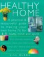 Healthy Home: A Practical & Resourceful Guide to Making Your Own Home Fit for Body, Mind and Spirit