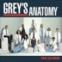 Grey's Anatomy: 2010 Wall Calendar