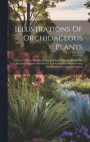 Illustrations Of Orchidaceous Plants