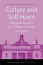 Culture and Self-Harm: Attempted Suicide in South Asians in London (Maudsley Monographs)