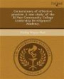 Cornerstones of effective practice: A case study of the El Paso Community College Leadership Development Academy