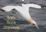Bass Rock Gannets 2018: A Collection of Images from Bass Rock, Scotland, Home to the Largest Offshore Northern Gannet Colony in the World. (Calvendo Animals)