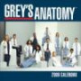 Grey's Anatomy: 2009 Mini Wall Calendar