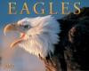 Eagles 2005 Calendar