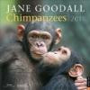 Jane Goodall Chimpanzees: 2011 Wall Calendar