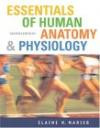 Essentials Human Anatomy And Physiologyth ed