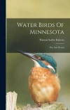 Water Birds Of Minnesota