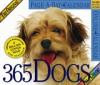 The Original 365 Dogs Page-A-Day Calendar 2007