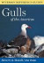 Peterson Reference Guides: Gulls of the Americas (Peterson Reference Guides)